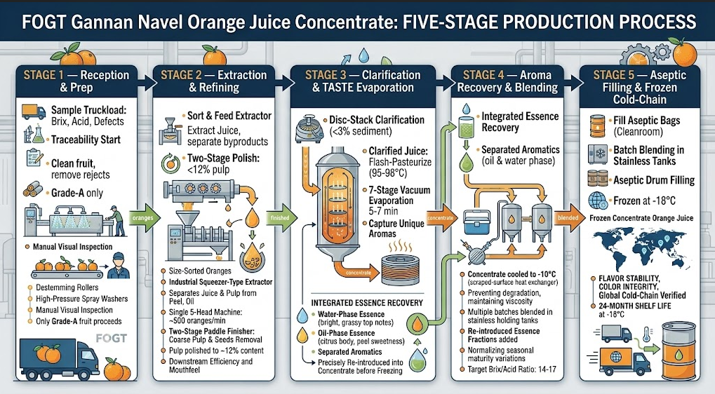Production produce of orange concentrate juice