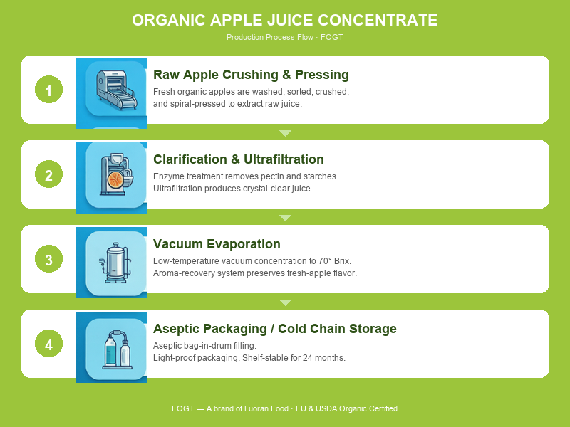 Production process of organic apple juice concentrate