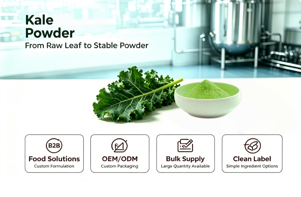 Bulk kale powder supply.png